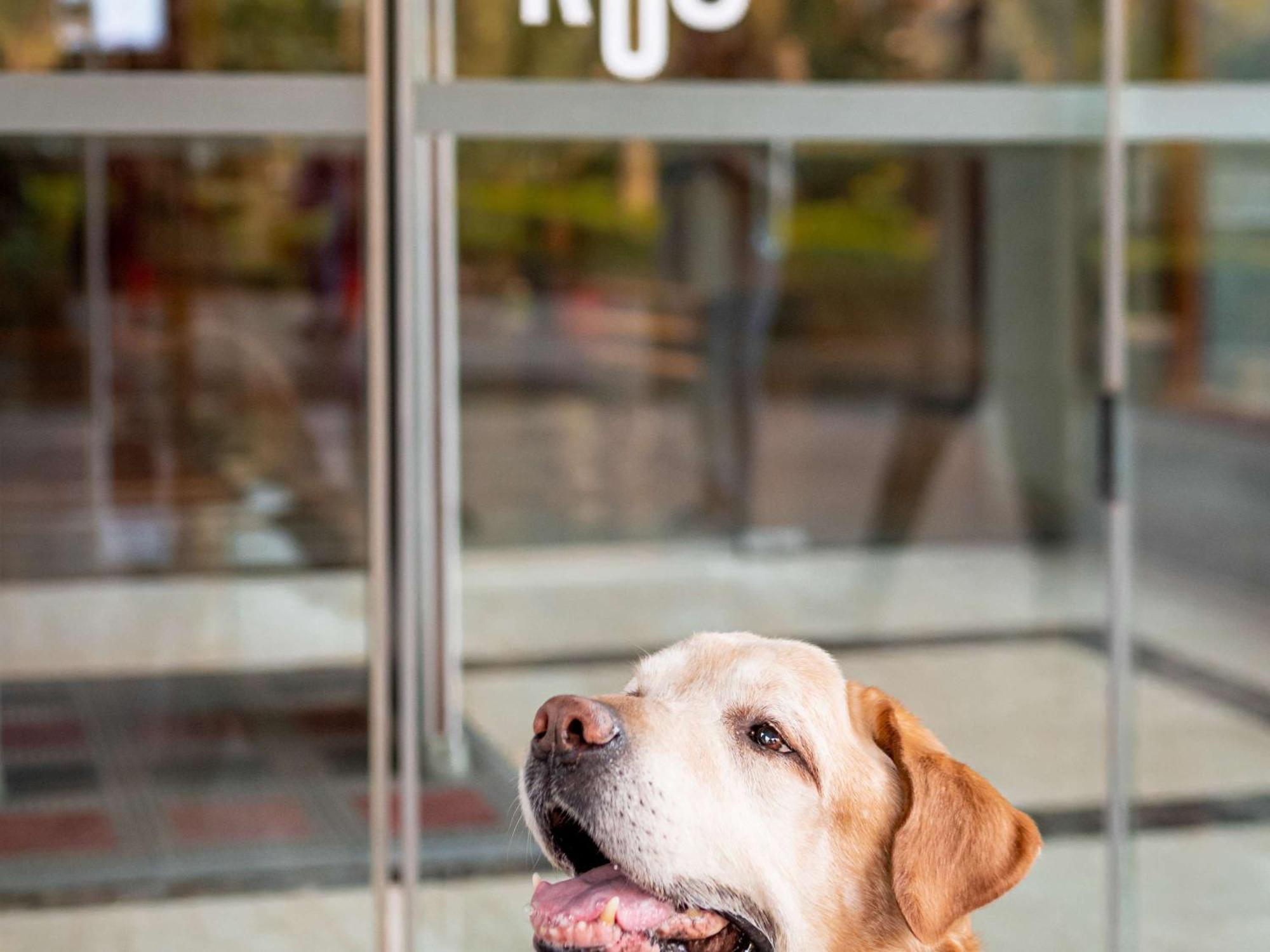 Ibis London Excel-Docklands Hotel Ngoại thất bức ảnh
